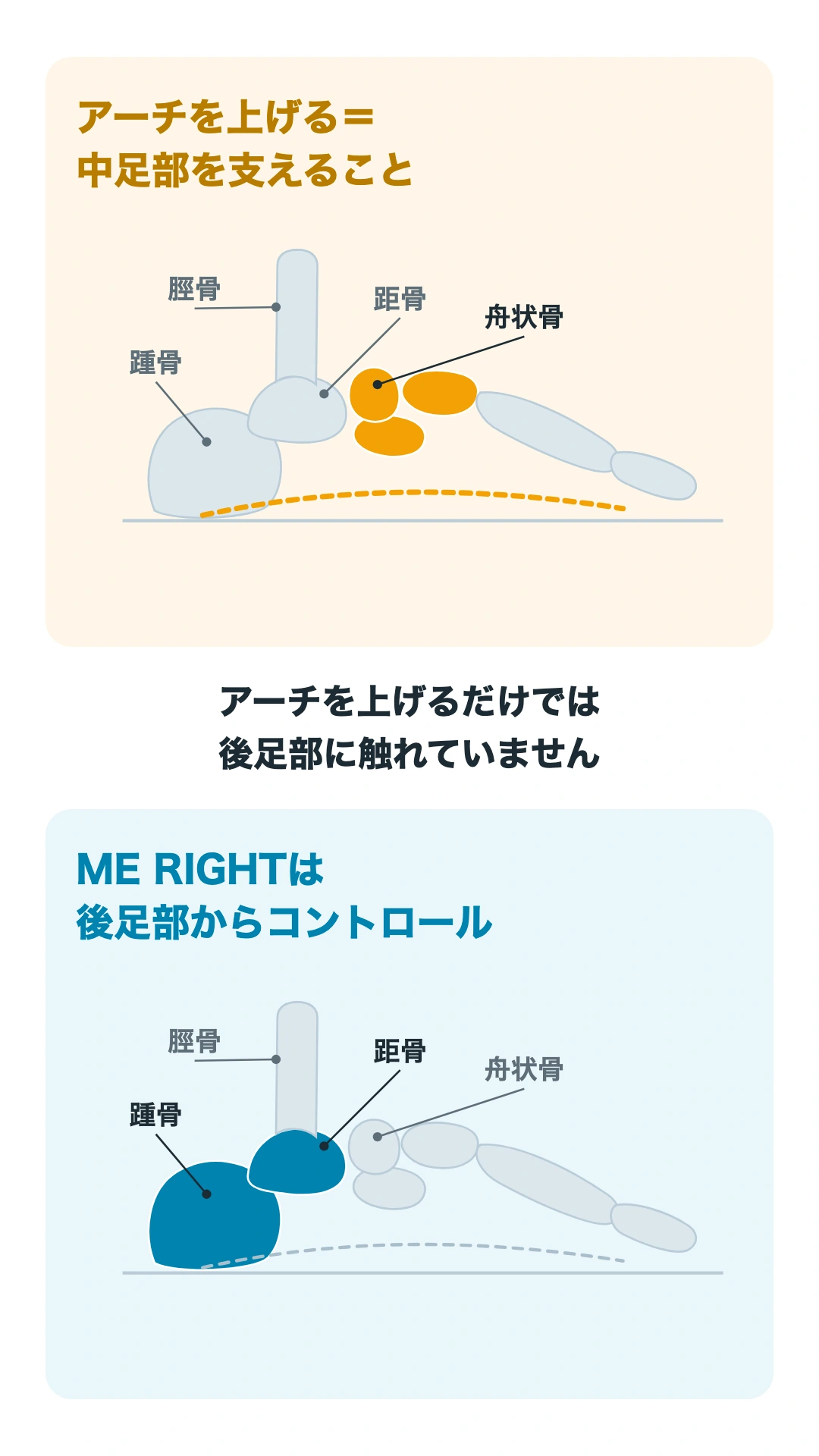 中足部のアーチに着目する視点と、後足部の動きにも着目するME RIGHTの設計思想の対比